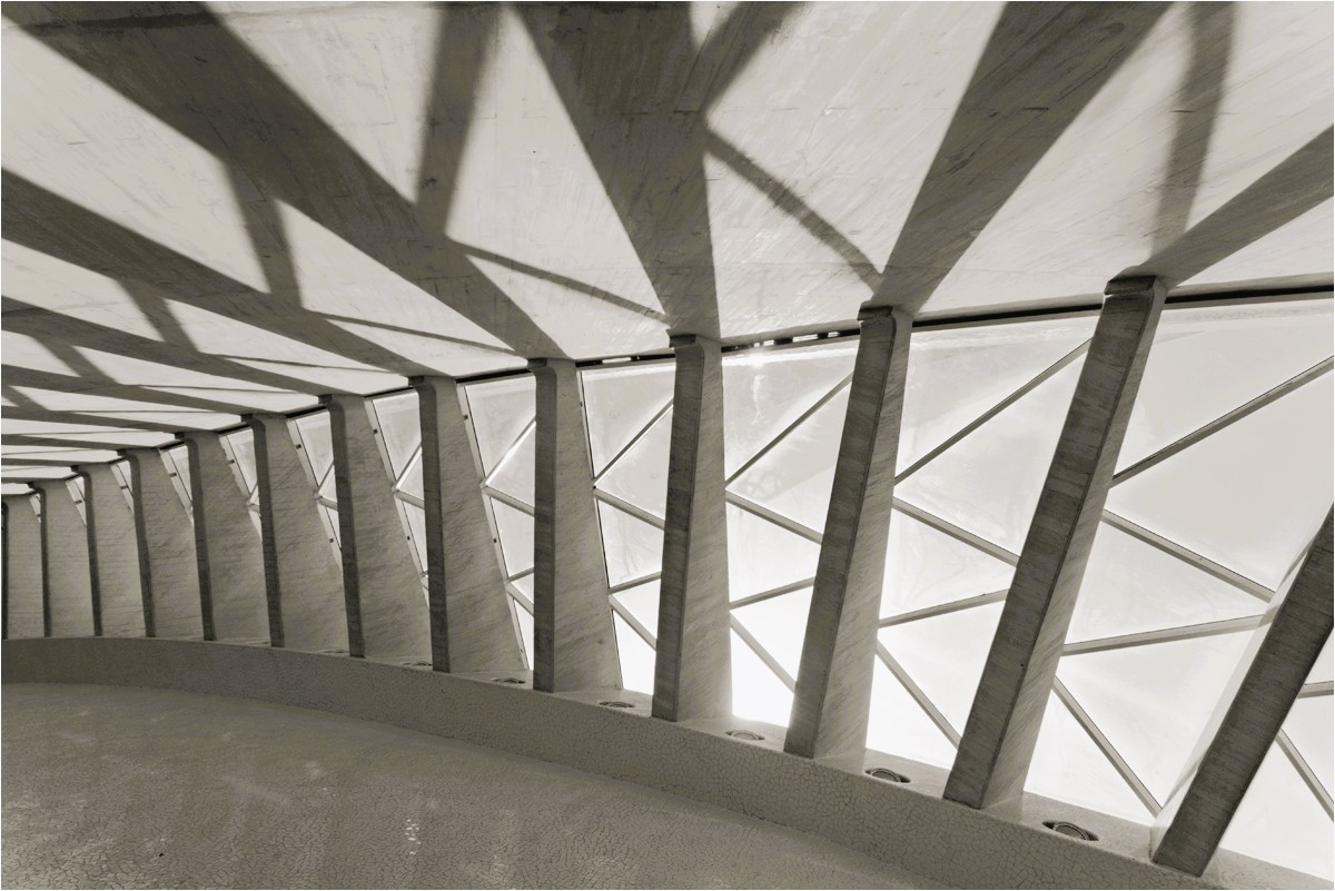 Plekhov Joseph Shady geometry Print   Mono   Class B 20260211